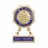 7/8 Inch Enameled Brass Hospital Volunteer Service "500 Hours" Lapel Pin