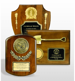 Plaques